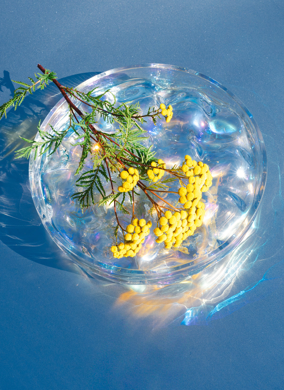 Blister Bowl Iridescent