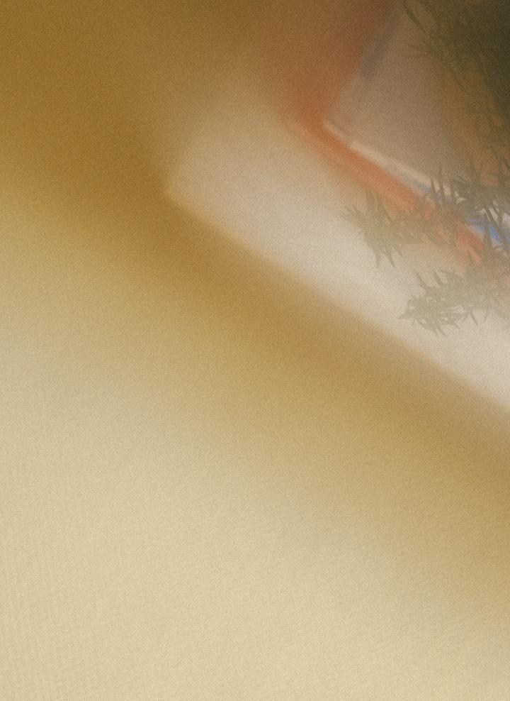 customrug