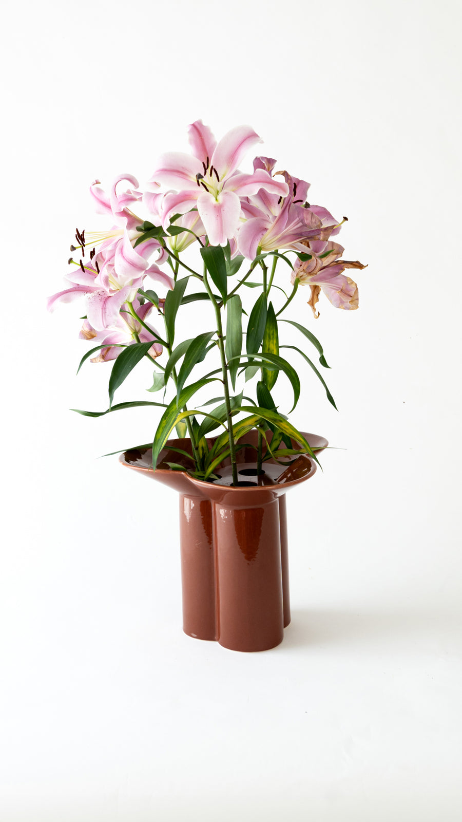 Clover Vase - medium