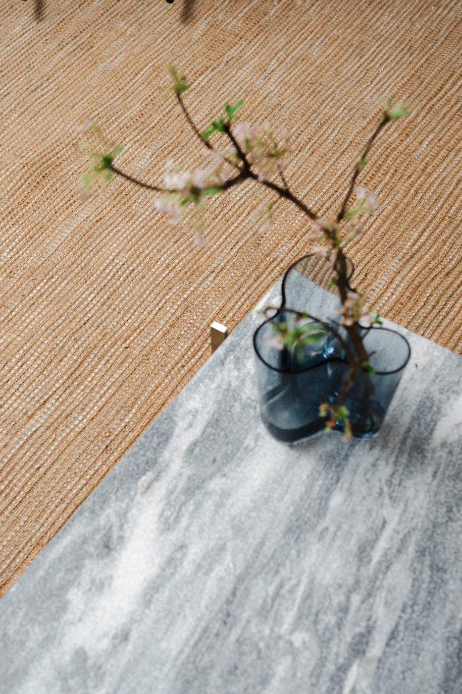 Threaded Jute and New Zealand Wool Rug